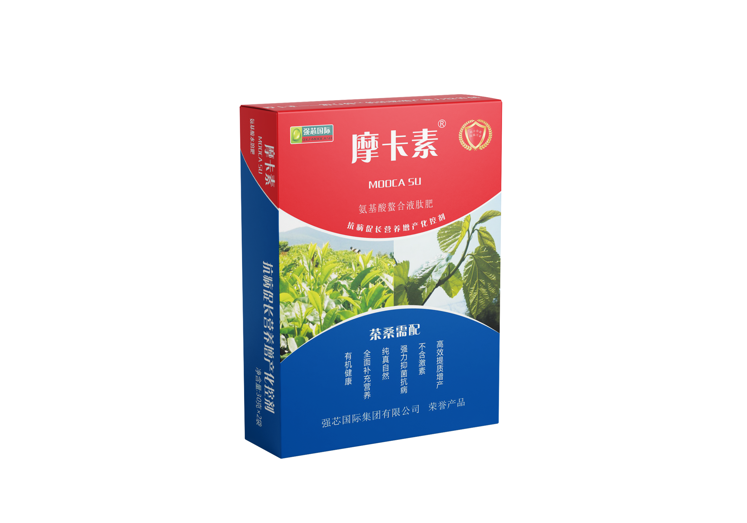 茶桑