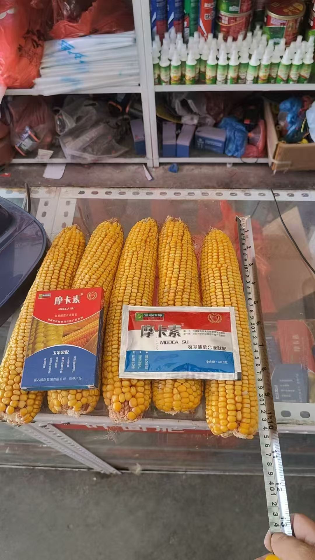 e051d886ef6310d3db7ddf26e9744cc5
