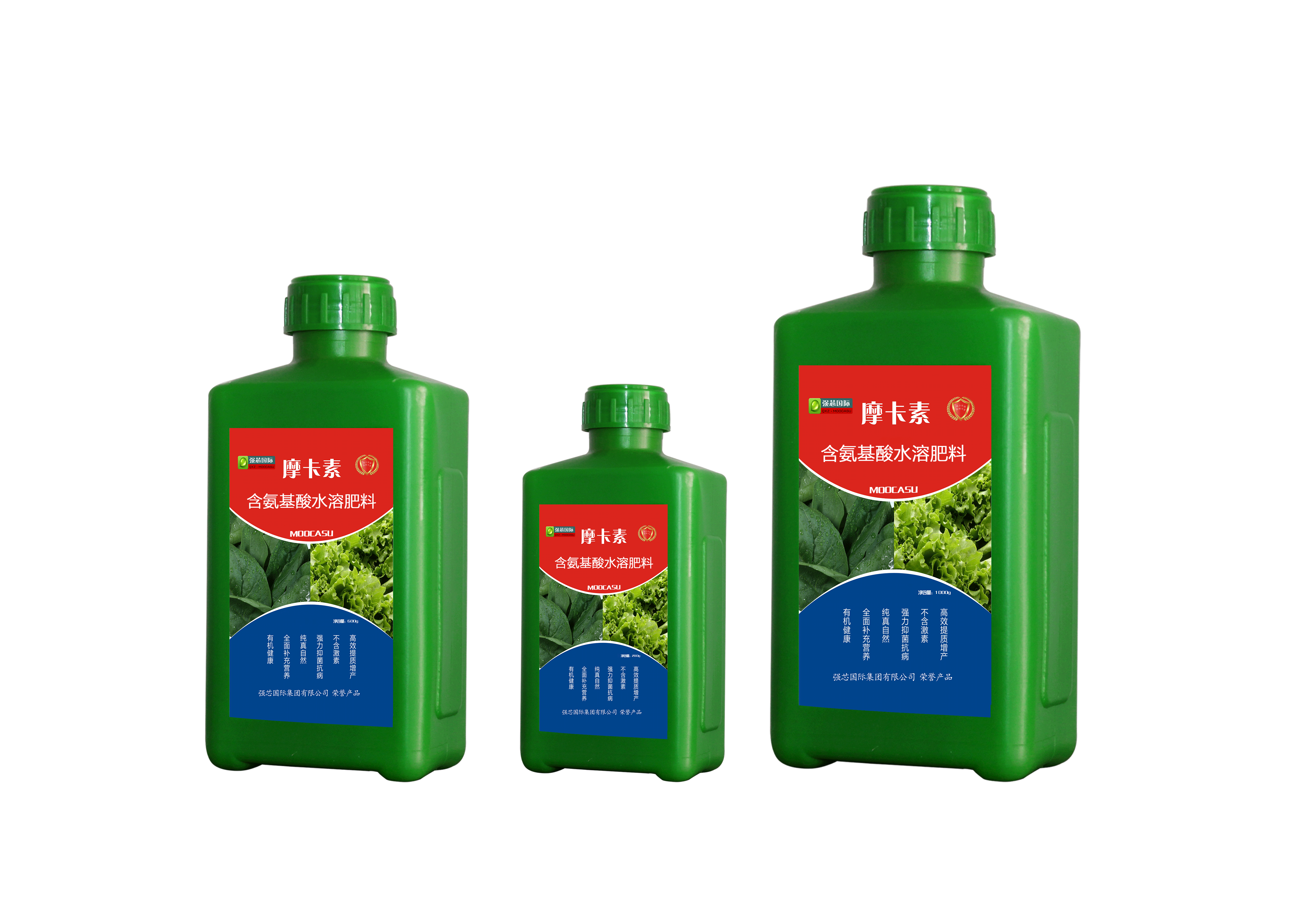 叶菜