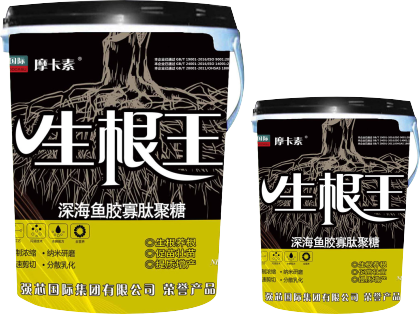 生根王